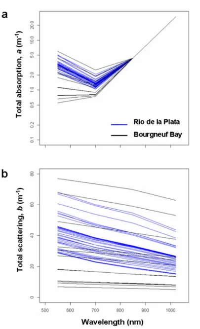Fig. 2. Total absorption (a) and scattering (b) coefficients measured in the Río de la Plata  (blue) and Bay of Bourgneuf (black) at 550, 700 and 850 nm and extrapolated at 1020 nm 