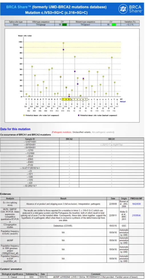 Figure 1. Classification information for BRCA2 c.316+5G&gt;C (IVS3+5G&gt;C) is present in BRCA Share TM database with annotations of class 5.