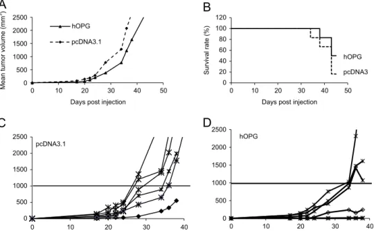 Fig. 3. OPG decreases tumor development and increases animal survival in EWS tumor models in mice