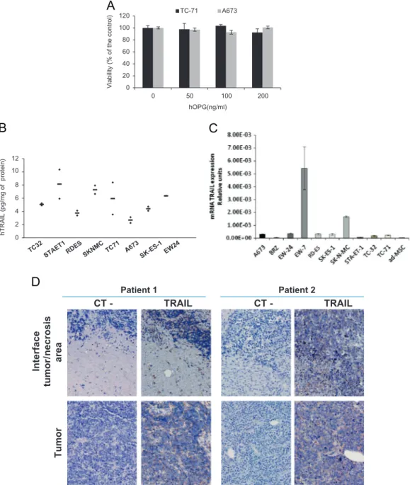 Fig. 5. Hypothesis on the OPG mechanisms of action in Ewing's sarcoma by binding TRAIL