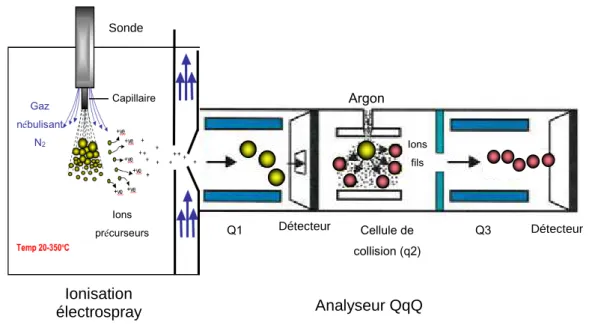 Figure I-24 Analyse en plusieurs étapes dans le système de détection de masse QqQ (schéma adapté de Li 