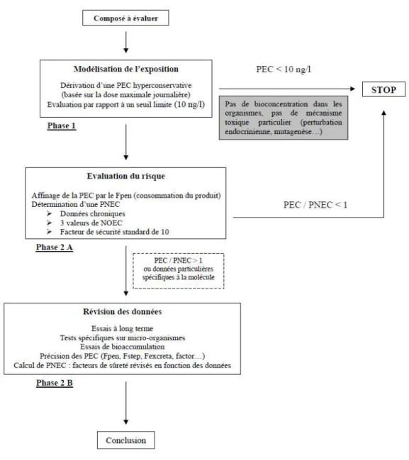 Figure I-25 Schéma récapitulatif de la procédure EMEA (Besse &amp; Garric, 2007) adapté de (Bound &amp; 