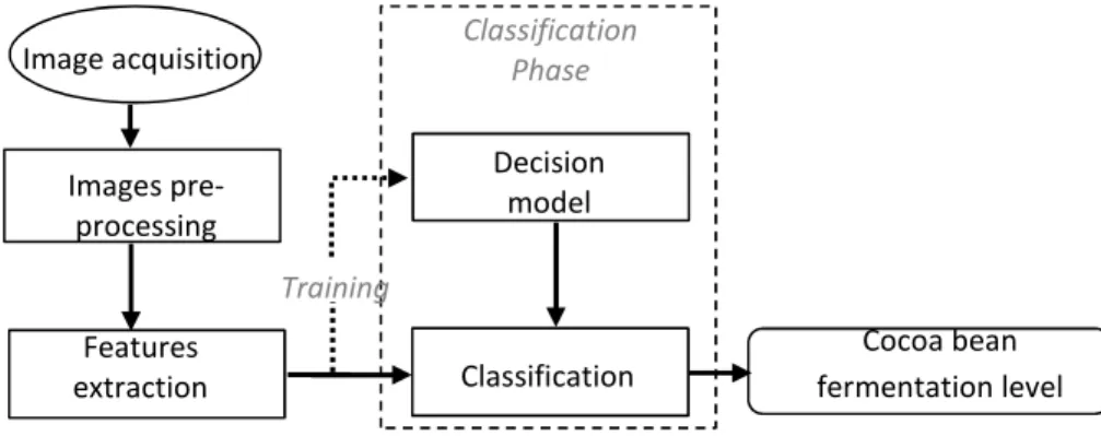 Fig. 3. Segmentation flow chart of a cocoa bean  Otsu's thresholding 
