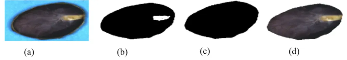 Fig. 4. Segmentation process: (a) Original image, (b) Otsu’s thresholding, (c) Morphological  opening, (d) segmented image 