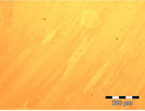 Figure II.4 : image au microscope optique  d’une  « zone de gris » à proximité du centre d’un dioptre