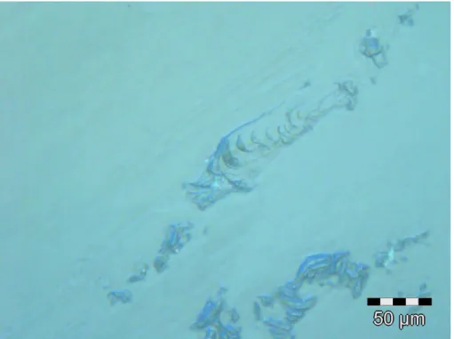 Figure II.5 : zone d’un dioptre observée au microscope optique  présentant des arrachements après une  opération de  tournage à l’outil diamant