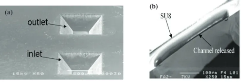 Fig. 2. SEM pictures (a) of the back side of the wafer; (b) of the microfluidic channel obtained after etching