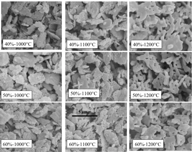 Figure 34 : Images MEB (x 8000) de couches à base d’encre de compositions différentes.