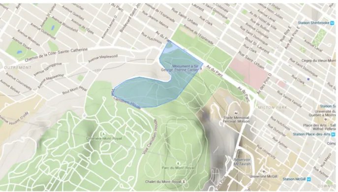 Figure 3: The blue shaded area within the perimeter of Mount Royal Park is the area known as the Jungle