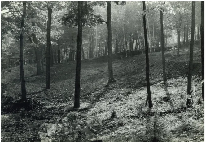 Figure 6: Ground view of Mount Royal after the Morality Cuts in autumn 1960; notice the sparse trees and near  inexistent underbrush