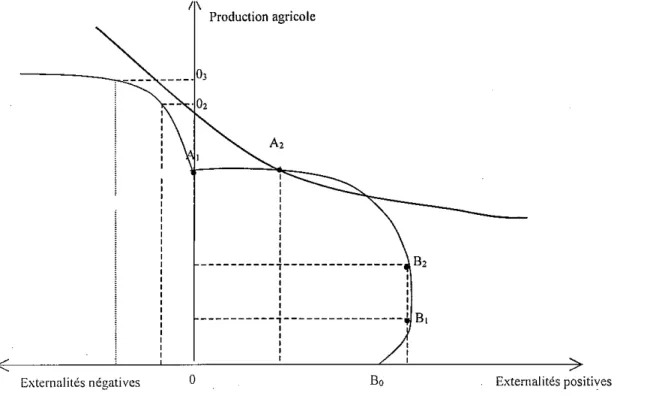 Graphique 2 : Optimum social en présence d'externalités négatives et d'externalités positives