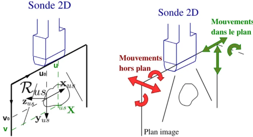 Fig. 2.3 – L’image ´echographique correspond ` a une coupe transverse de l’objet en contact avec la sonde 2D.