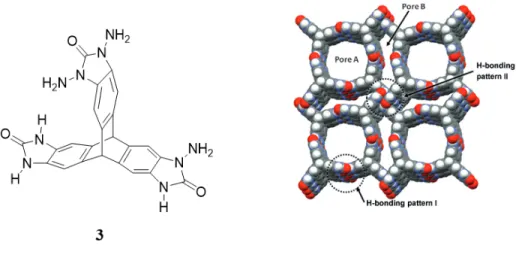 Figure  9.  Example  of  a  highly  porous  framework  made  by  using  the  strategy  of  modular  construction