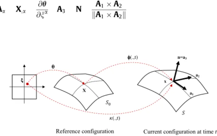 Fig. 1. Parametrization of the membrane middle surface. Fig. 2. Parametrizations of the contact surfaces.