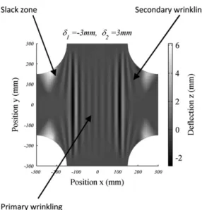 Fig. 6. Sample of experimental out-of-plane displacements (specimen thickness = 50 l m).