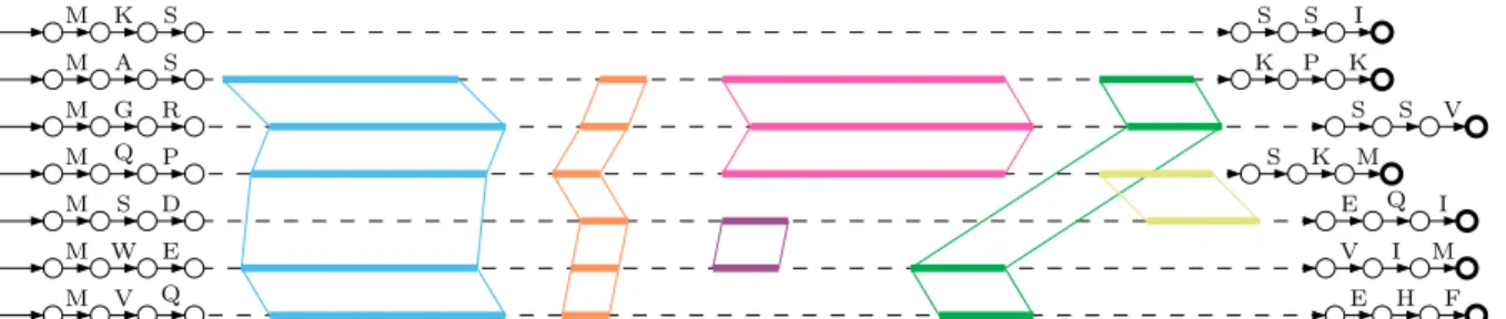 Fig. 2.2  Représentation du MCA généré à partir des séquences sur lesquelles nous avons projeté un alignement multiple local partiel