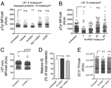 Fig. 5. Impairment of IS assembly by hRSV N protein is associated with a reduction in TCR signaling