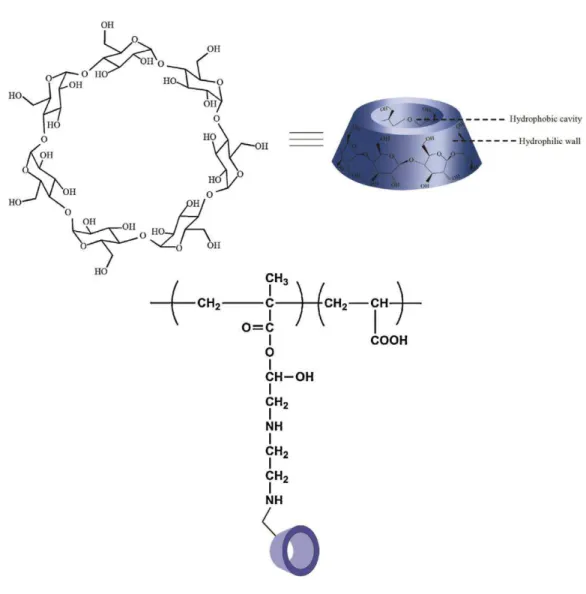 Figure 1-17. Formule chimique générale de la cyclodextrine et structure chimique d’un copolymère en peigne fonctionnalisé avec un  macrocycle cyclodextrine [60]