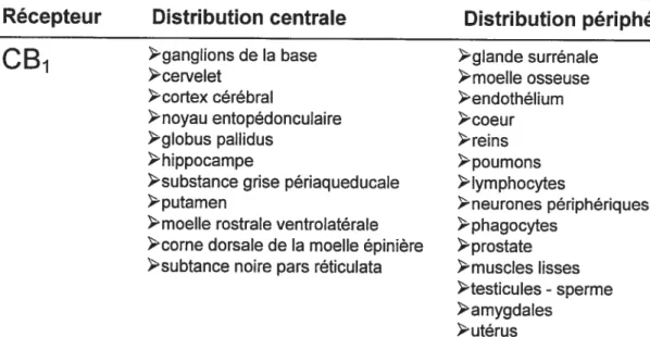 Tableau I: Localisation des récepteurs cannabinoYdes CB1 et CB2.