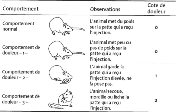 Tableau III Les comportements observés chez l’animal après l’injection de formol. On caractérise les comportements observés à l’aide d’une cote de douleur standardisée.