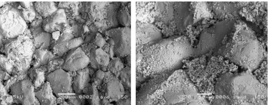Fig. 4. SEM photos of grouted Fontainebleau sand sample.