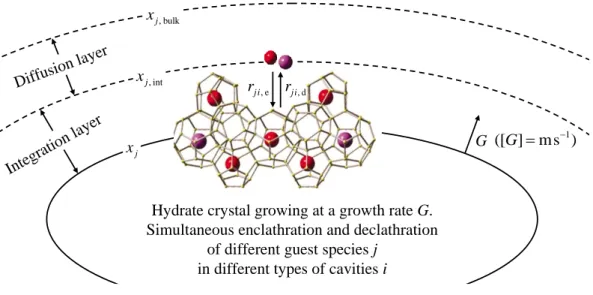 Figure 28 : Elementary steps of gas integration in the vicinity of the growing hydrate  surface (Herri and Kwaterski, 2012)