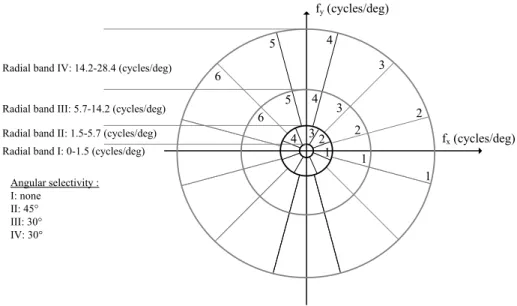 Fig. 4. Psychophysical spatial frequency partitioning of the achromatic component A