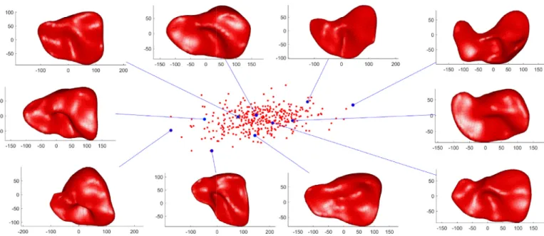 Fig. 1. 2D mapping of the liver shape population using PCA along the ﬁrst and second principal axes