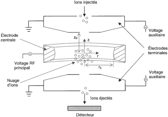 Figure 1.4 Schéma de la trappe ionique.