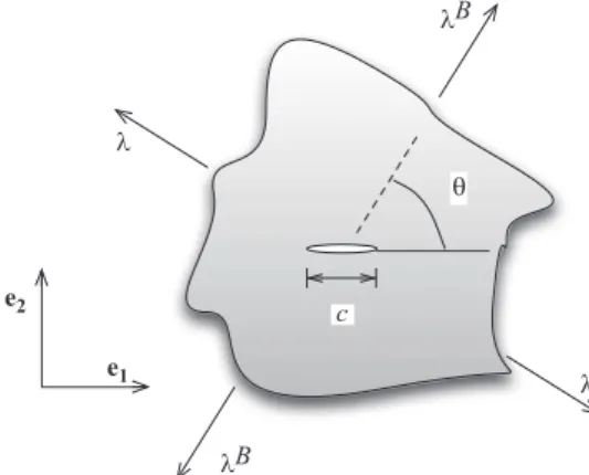 Fig. 2. Domain with an inclined center crack.