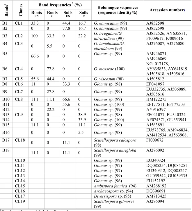 Table 2: Arbuscular mycorrhizal fungal taxa detected by cloning sequencing and DGGE  analysis of plantain roots and rhizospere soil sampled from trace metal polluted and  non-polluted sites