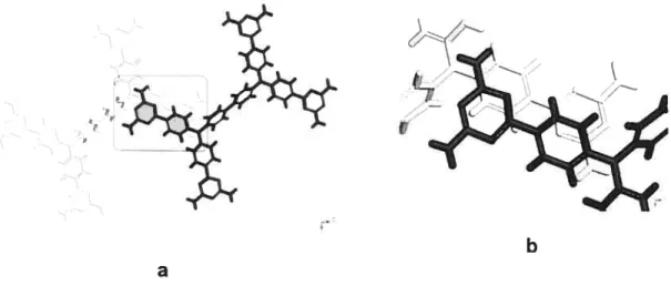 Figure 2.28 a) View of the 31-stacking interaction present in the crystal structure of tecton I8DAT.