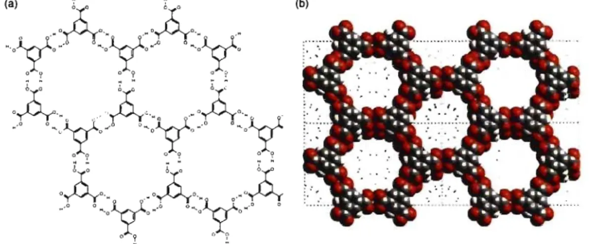 Figure 1.2  Schematic  (a)  and  space-filling  (b)  views  of the  open-framework  phase  of trimesic  acid