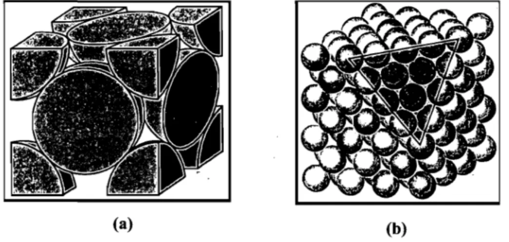 Figure  2.7a  shows  an  STM  image  of the  surface  of Au  that  has  been  flame  annealed