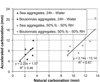 Fig. 13. 1-year natural carbonation fronts of B1, B2, B3, B4, B5, B6, B7, B8 concrete samples
