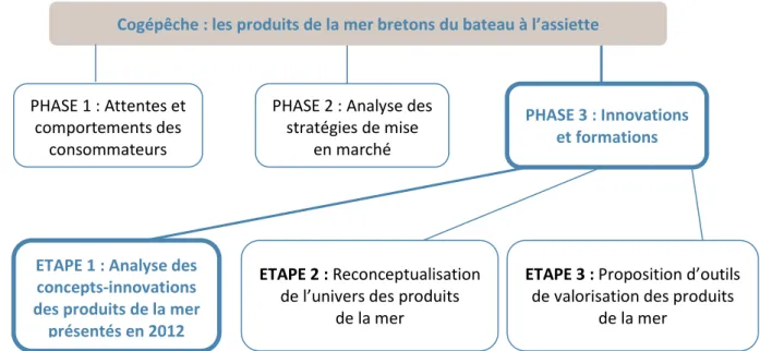 Figure 1 : Organisation des différentes phases de Cogépêche 