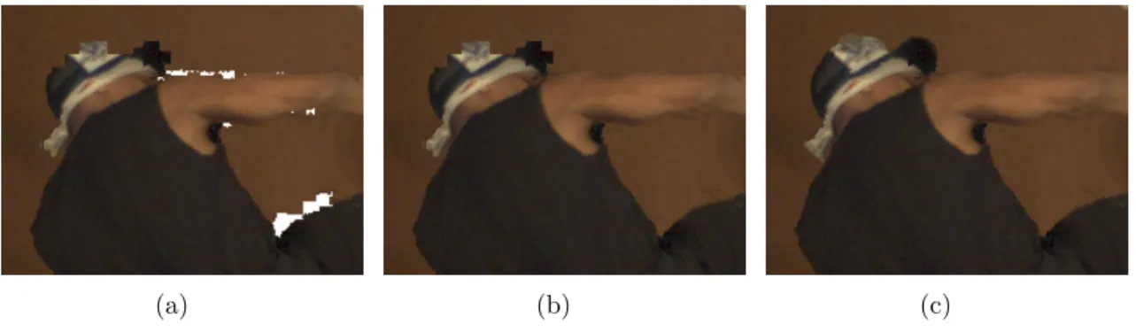 Figure 9 shows the successive steps of quad selection on a zoomed area from Ω projected on view V 3 