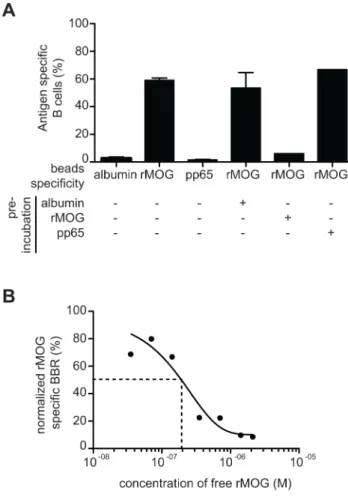 Figure 2. Bead-based method allows the detection of antigen- antigen-specific B cells