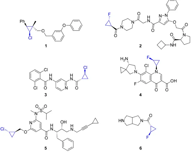 Figure 1. Monohalogénocyclopropanes synthétiques possédant une activité biologique 