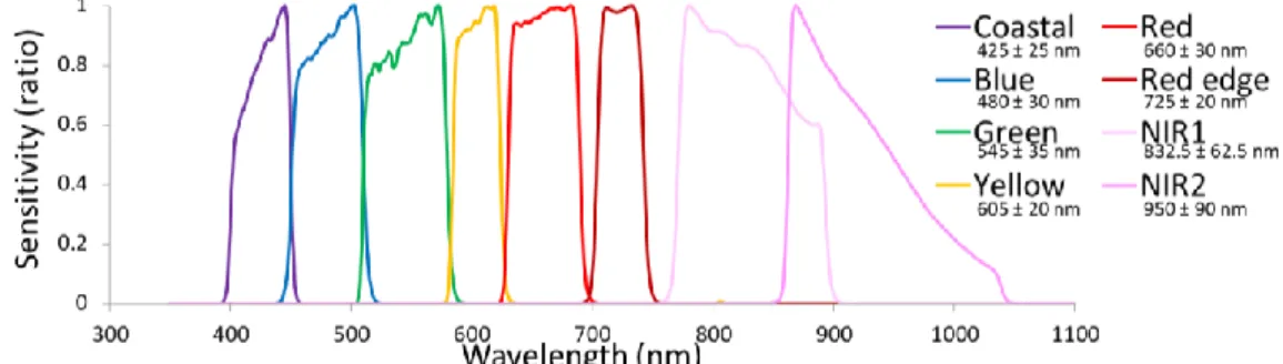 Figure 2. Spectral sensitivity of the satellite WorldView-3 sensor showing its first eight multispectral bands provided with 1.24 m spatial resolution