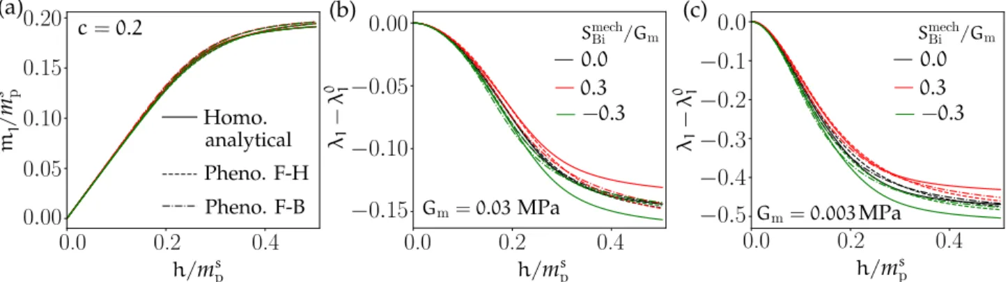 Figure 5.9: Effective (a) magnetization and (b,c) magnetostriction as a function of the applied normalized Eulerian field h/ m s p obtained by the analytical F − H homogenization model (5.4) (solid lines), the  phenomeno-logical F − H model (5.23) (dashed 