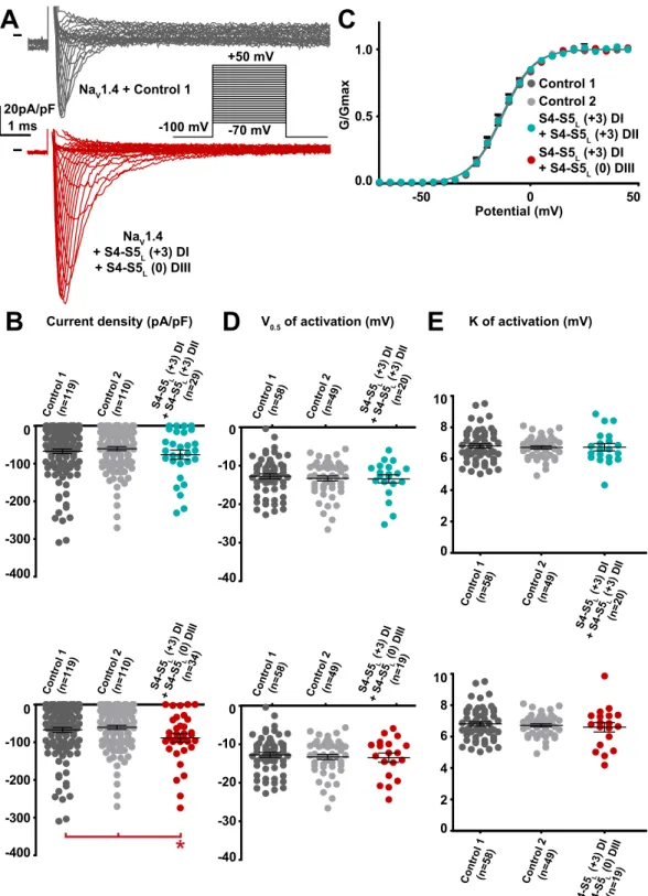 Figure 10.  Effect of combination of two Na V 1.4 S4-S5 L  mimicking peptides that both had an effect on Na V 1.4  current density when expressed alone