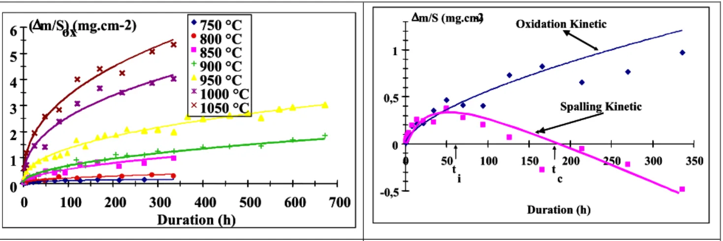 Fig. 9 : Oxidation kinetics of 50% Ni HR Steel  Fig. 10 : Spallation kinetic of 50% HR Steel 