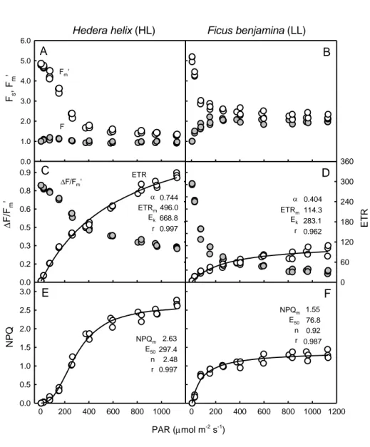 Figure 5.‘Single pulse light curves’.Fluorescence light-response curves as generated by the  943 