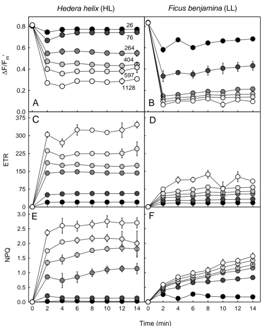 Figure 6.Dynamic light response.Variation over time of the light response of fluorescence  955 