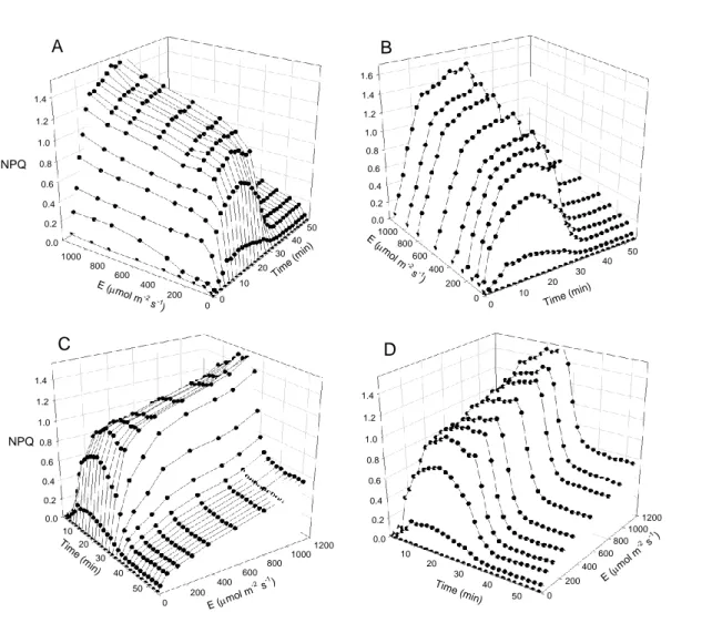 Figure 8.Dynamic light response: light stress-recovery experiment.3-D representation of the  980 