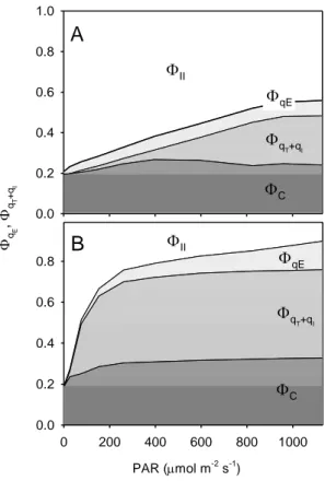 Figure 9.Dynamic light response: quantum yield of NPQ components. Light response of the  993 