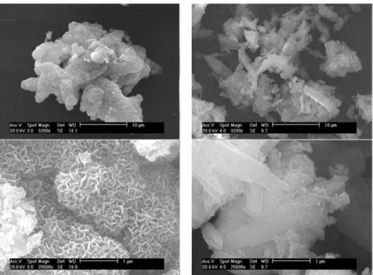 Fig. 5 SEM observations illustrating the appearance of the nanostructured Calcium phosphate particles before reaction (left side) and after use (right side)