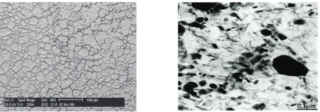 Fig. 1. (a) SEM image of grain structure in X38CrMoV5, (b)  TEM micrograph showing carbide precipitation  