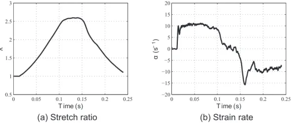 Fig. 5. (a) Stretch ratio and (b) true strain rate at 10/s.